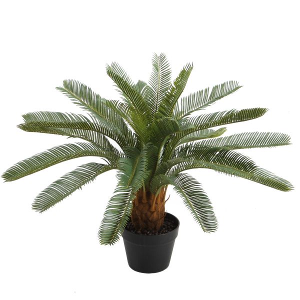 Искусственное растение CYCAS H70см, чёрный горшок