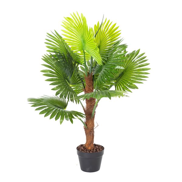 Зеленое растение FAN PALM, H100cm