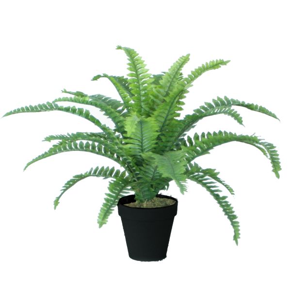 Искусственное растение BOSTON FERN H45см, папоротник, чёрный горшок