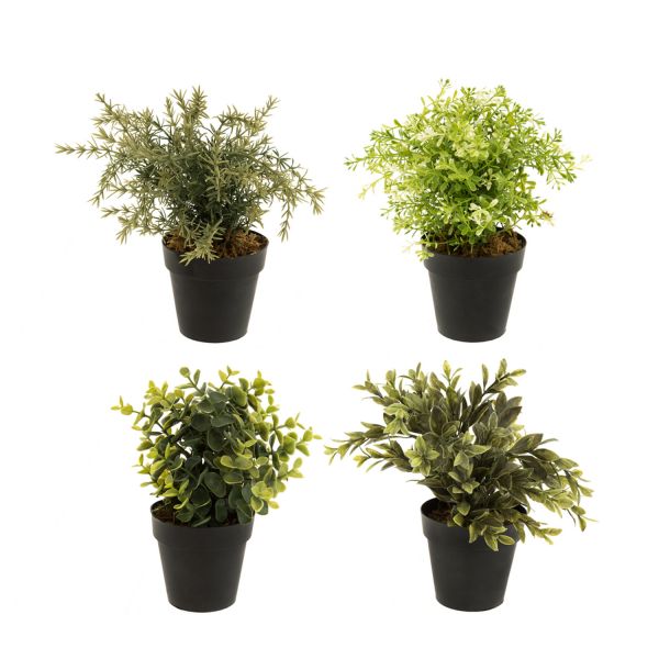 Kunsttaim 4LIVING GREEN, H23cm, mix