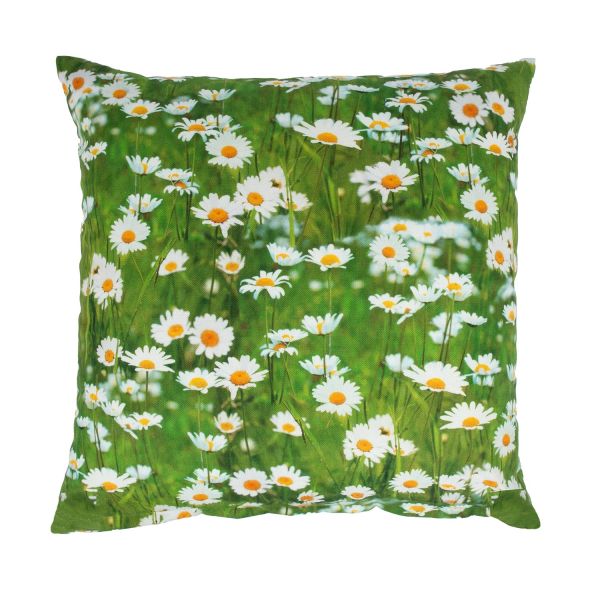 Pillow HOLLY 45x45cm, daisies